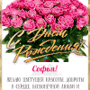 Поздравления с днем рождения Софье в прозе — Искренние и чуткие слова, наполненные теплом и любовью, чтобы передать радость и счастье! Поздравления с днем рождения Софье в прозе — Искренние и чуткие слова, наполненные теплом и любовью, чтобы передать радость и счастье!